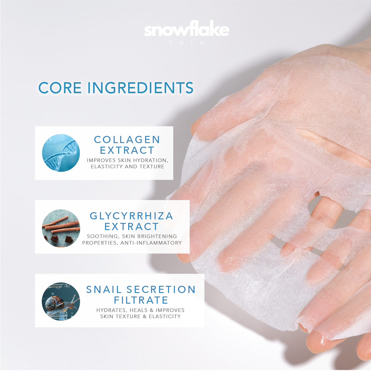 Snowflake Mask 10 pcs (1 box)