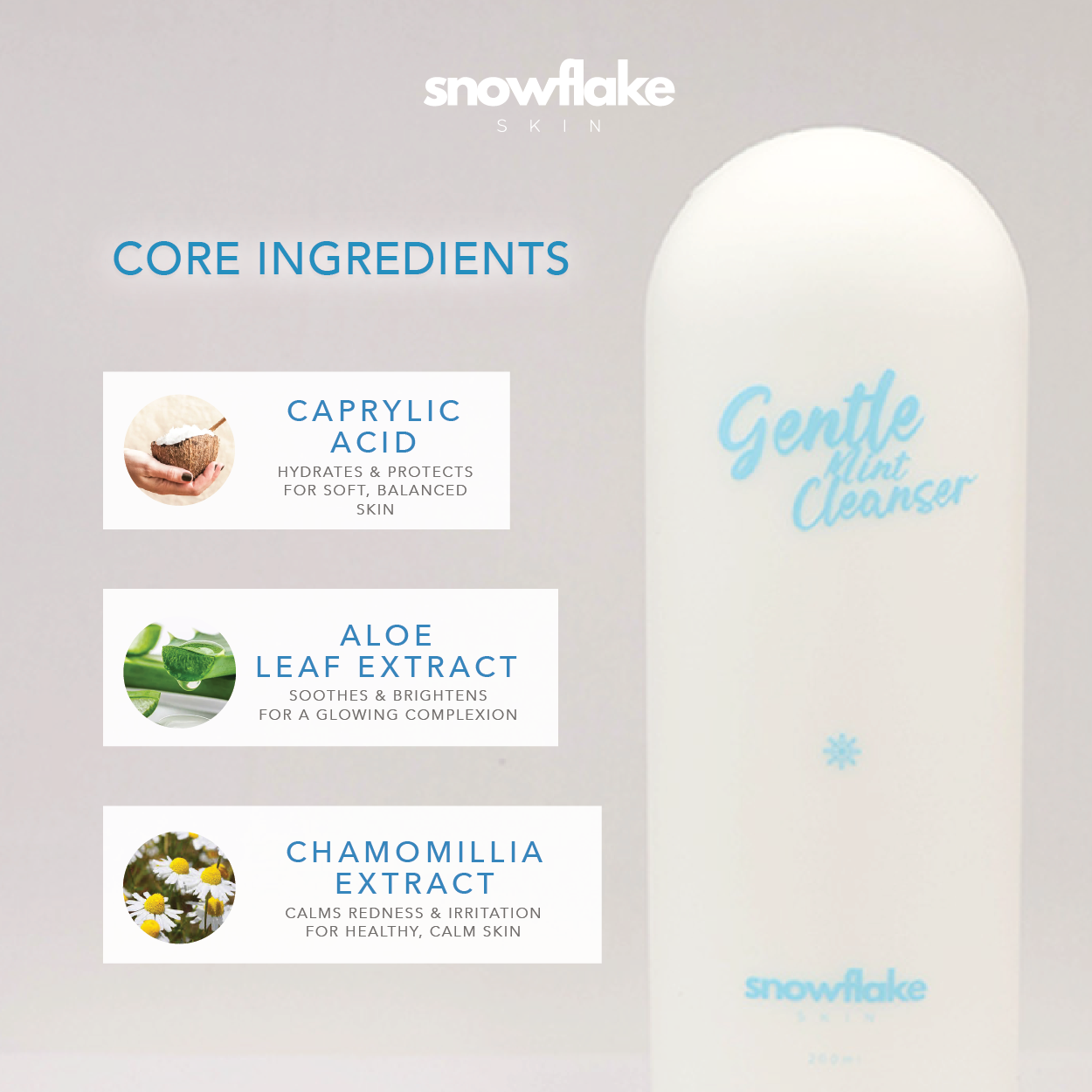 Gentle Mint Cleanser