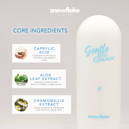 Gentle Mint Cleanser