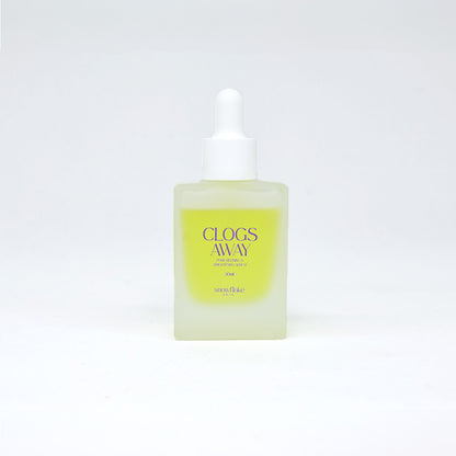 [NEW!] Snowflake Clogs Away