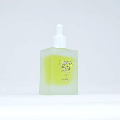 [NEW!] Snowflake Clogs Away